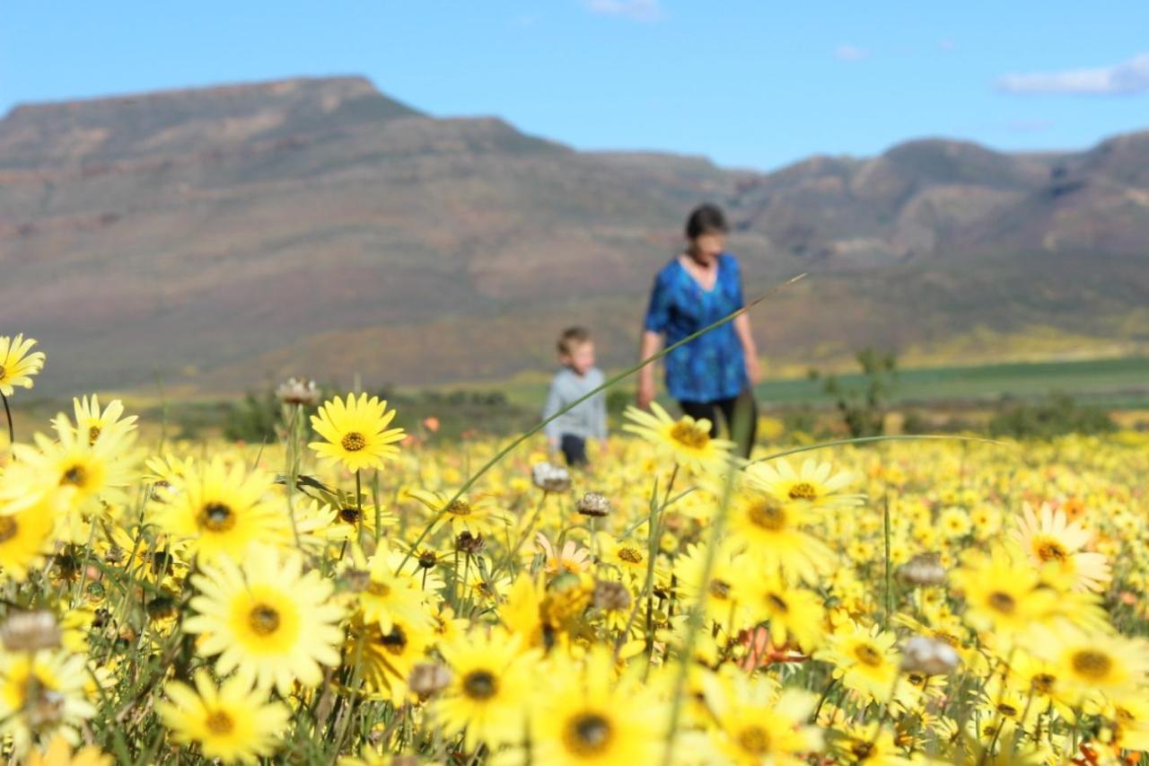 Appartamento Rosenhof Manor House - Since 1847 Clanwilliam Esterno foto
