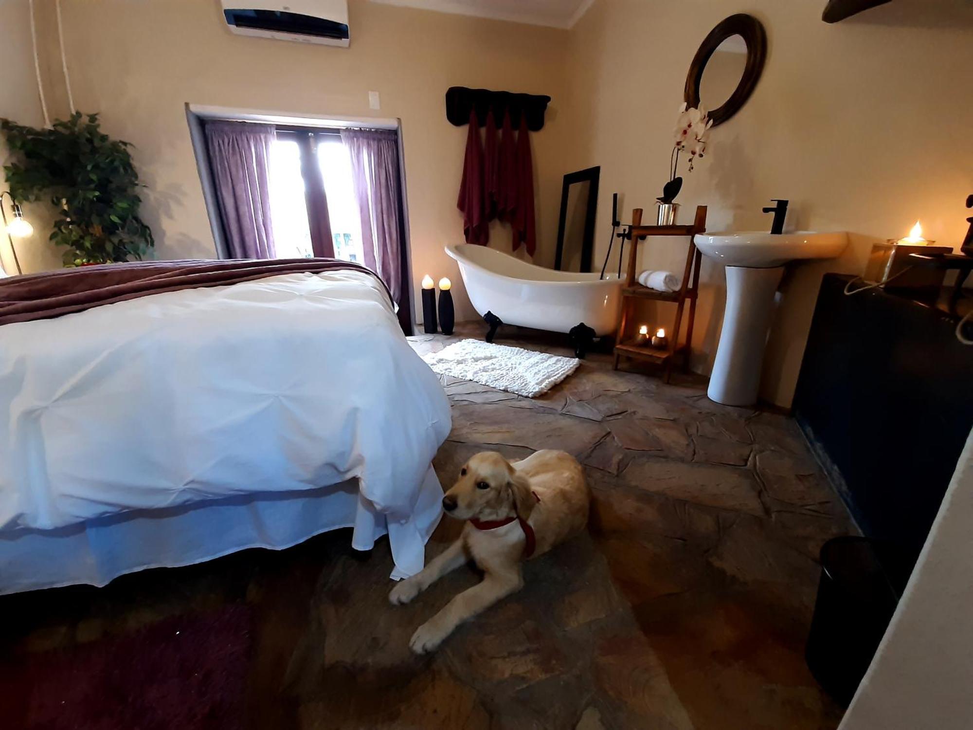 Appartamento Rosenhof Manor House - Since 1847 Clanwilliam Esterno foto
